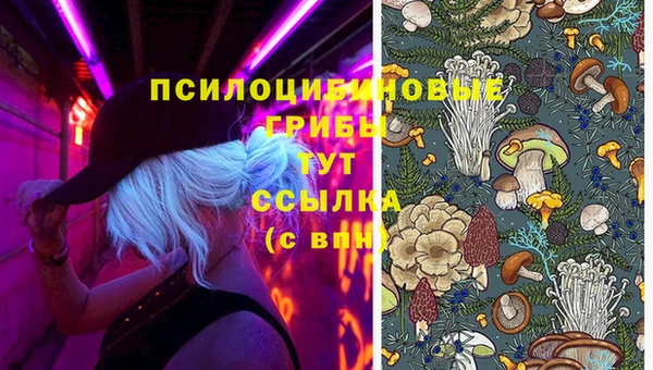 метамфетамин Медвежьегорск