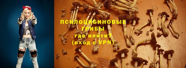 мяу мяу мука Медногорск