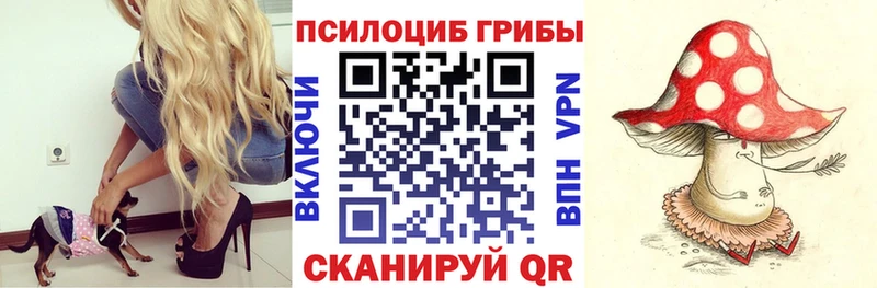 Псилоцибиновые грибы Cubensis  купить наркоту  Ува 